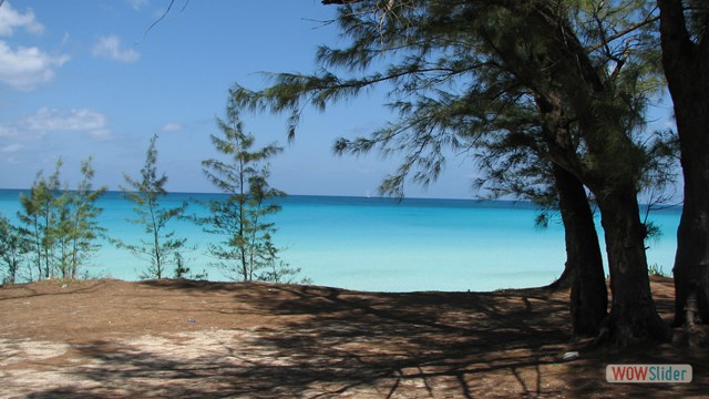 Bahamas, Bimini Islands